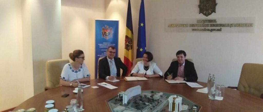 O întrevedere cu doamna Georgeta Mincu